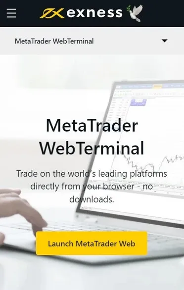 Web Terminal