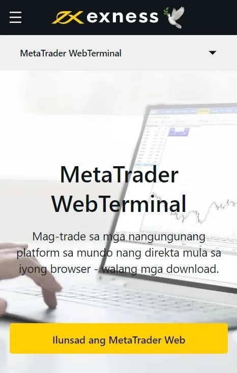 Web Terminal