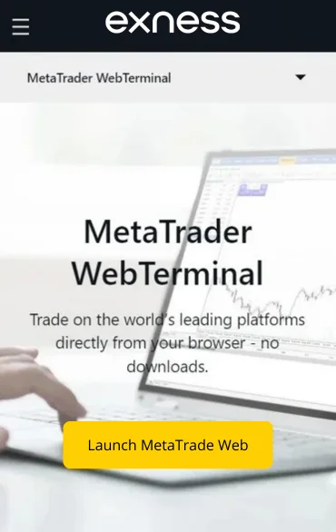 MT Web Terminal